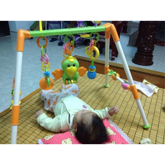 Kệ chữ A con vẹt