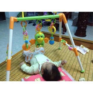 Kệ chữ A con vẹt