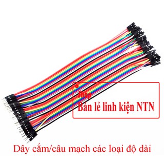 Dây cắm các loại dài 10/20/30 cm 40 sợi
