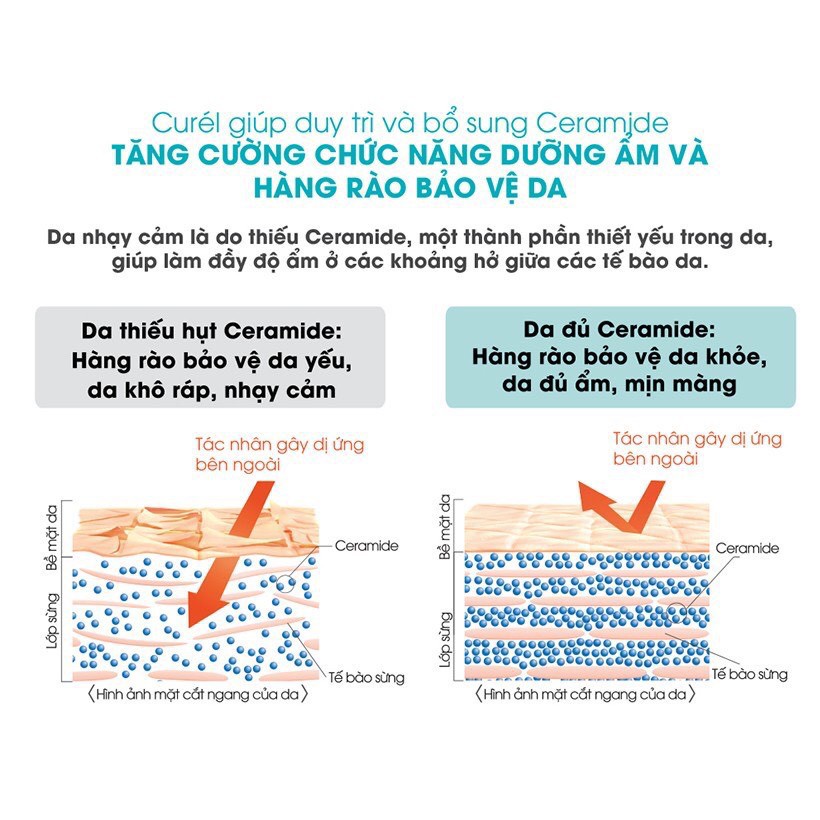 Sữa tắm toàn thân cấp ẩm chuyên sâu dạng bọt Curel 480 ml