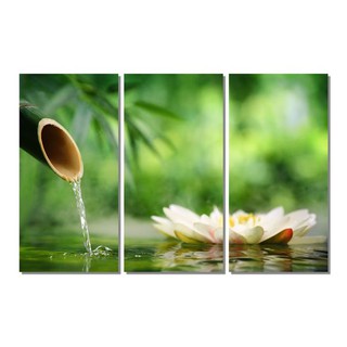 Bộ 3 tranh spa (40*60*3)