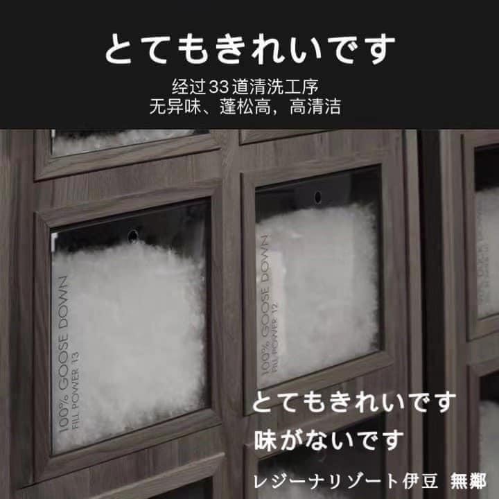 Ruôt gối lông vũ kháng khuẩn nhập khẩu Nh.ật B.ản LIDA.CO cao cấp kích thước 50x70cm