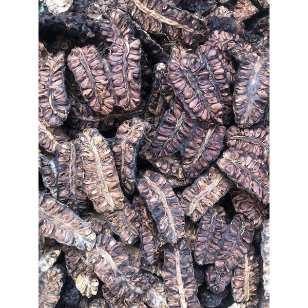 1kg. Quả nhàu rừng khô quả tròn nhỏ