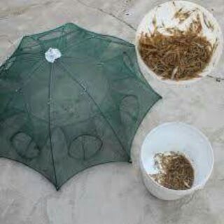 Lưới bát quái bắt cá 8 cửa
