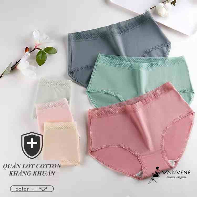 QUẦN LÓT COTTON 365 KHÔNG HẰN KHÁNG KHUẨN CHỐNG HPV 10 MÀU BIG SIZE ĐẾN 65KG CẠP VỪA QLL005 | BigBuy360 - bigbuy360.vn