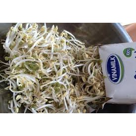 Đỗ xanh / Đậu xanh nguyên hạt (làm giá đỗ) 200g - 500g