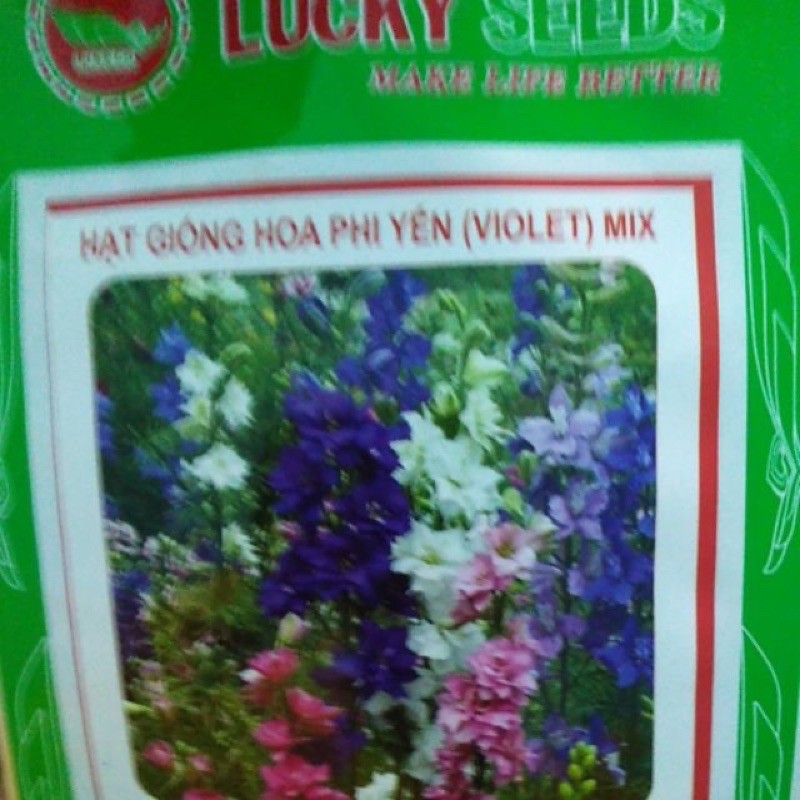 Hạt hoa violet