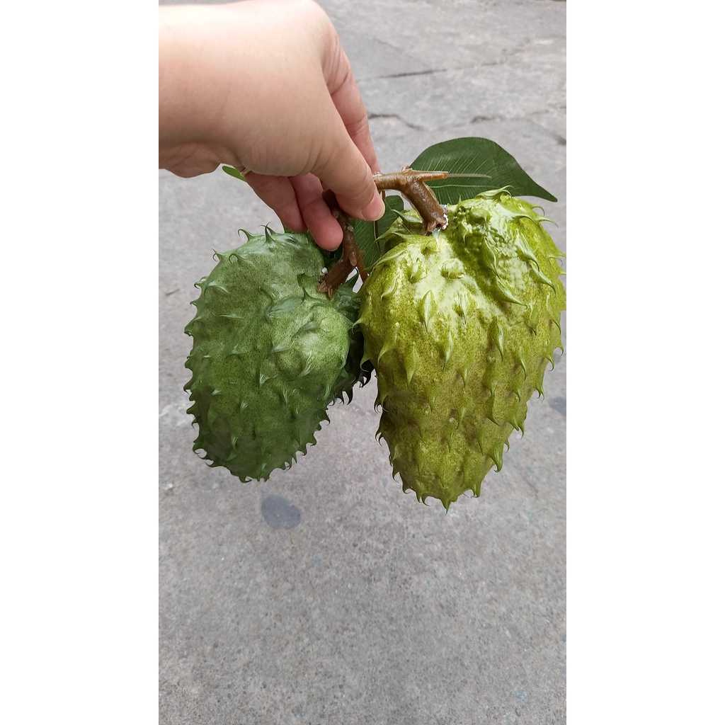 1 Trái mãng cầu giả - trái cây giả - Hương Flower