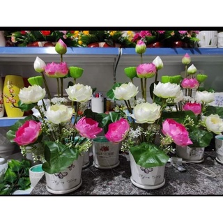 Hoa giả-Cành sen lụa cao 60cm - Sen giả trang trí nhà cửa - Bishop