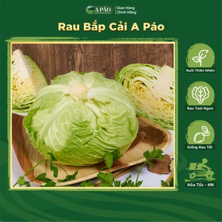 Rau Bắp Cải Xanh Tươi Sạch 500gr - Thực phẩm Tây Bắc  - Bắp Cải A Páo Nông Sản