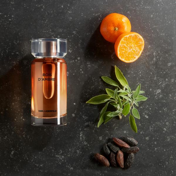 Nước hoa nam Karl Lagerfeld Bois De Cedre - Bois De Yuzu - Bois D'Ambre - Bois De Vetiver - Hamburg Alster Pour Homme