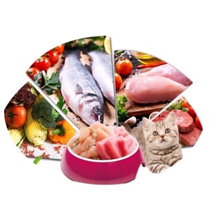 Pate Cho Mèo Wanpy 80g - Pate Wanpy 80g