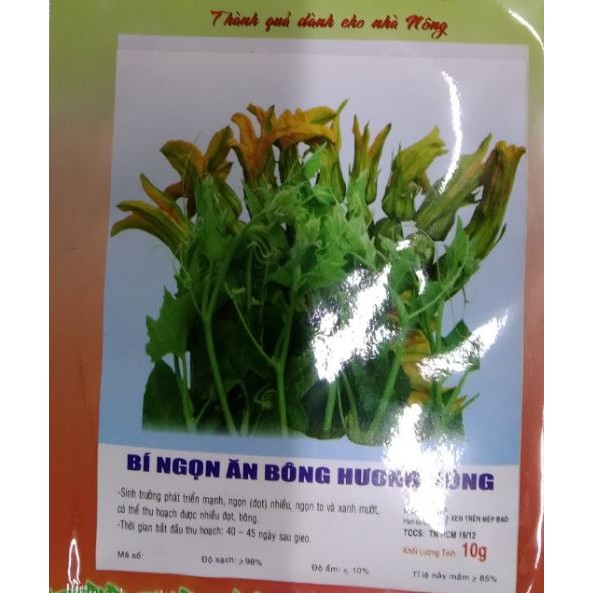 HẠT GIỐNG BÍ NGỌN ĂN BÔNG - GÓI 10 GRAM