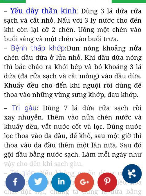 100g trà lá dứa (lá nếp thơm)