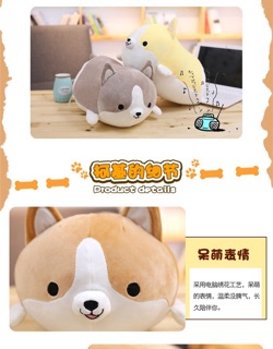 Thú bông chó Corgi ( có hình thật )