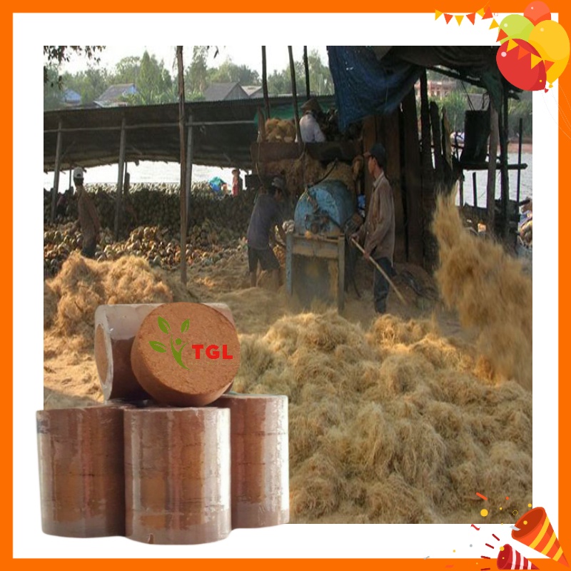 Viên Nén Xơ Dừa Mụn Trồng Rau, Hoa, Cây Cảnh