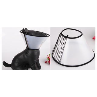Vòng Cổ chống liếm CHÓ- MÈO 1