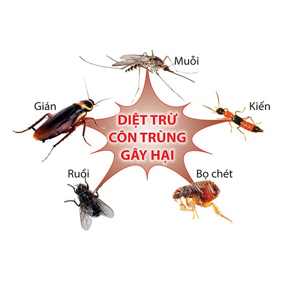 Bình xịt muỗi, Kiến, Gián mối sinh học Thảo Mộc Plus cải tiến mới - chai xịt không độc, an toàn cho bà bầu và trẻ nhỏ