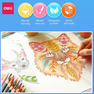 Bút chì màu gốc dầu cao cấp deli - màu chì khô gỗ tự nhiên - 24/ 36/ 48/72 màu - 6565 / 6566 / 6567 / 6568