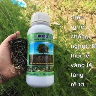 Siêu ra rễ giúp cây bắn rễ tơ chống nghẹt rễ, thối làm cây chậm phát triển-76121