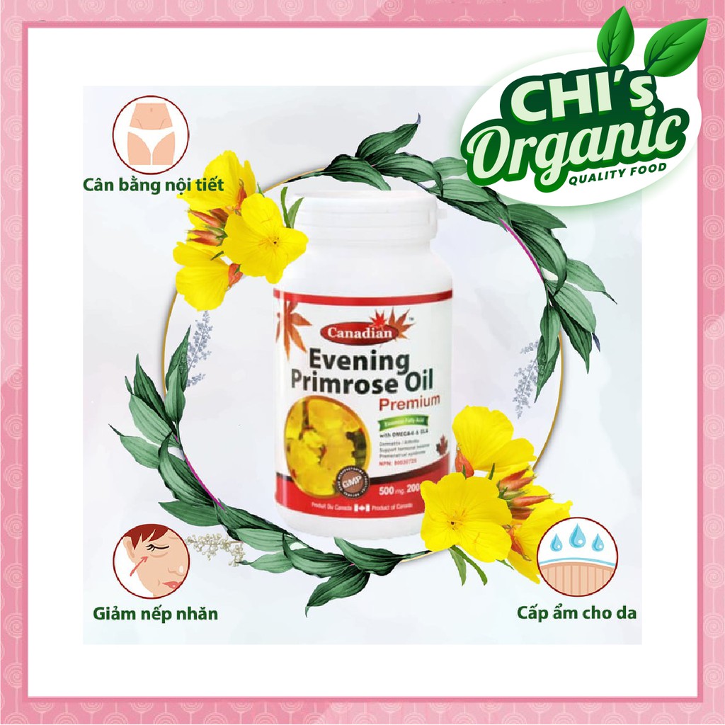 [Davidhealth] Viên Uống Dầu Hoa Anh Thảo David Health Evening Primrose, Viên Uống Nội Tiết Tố