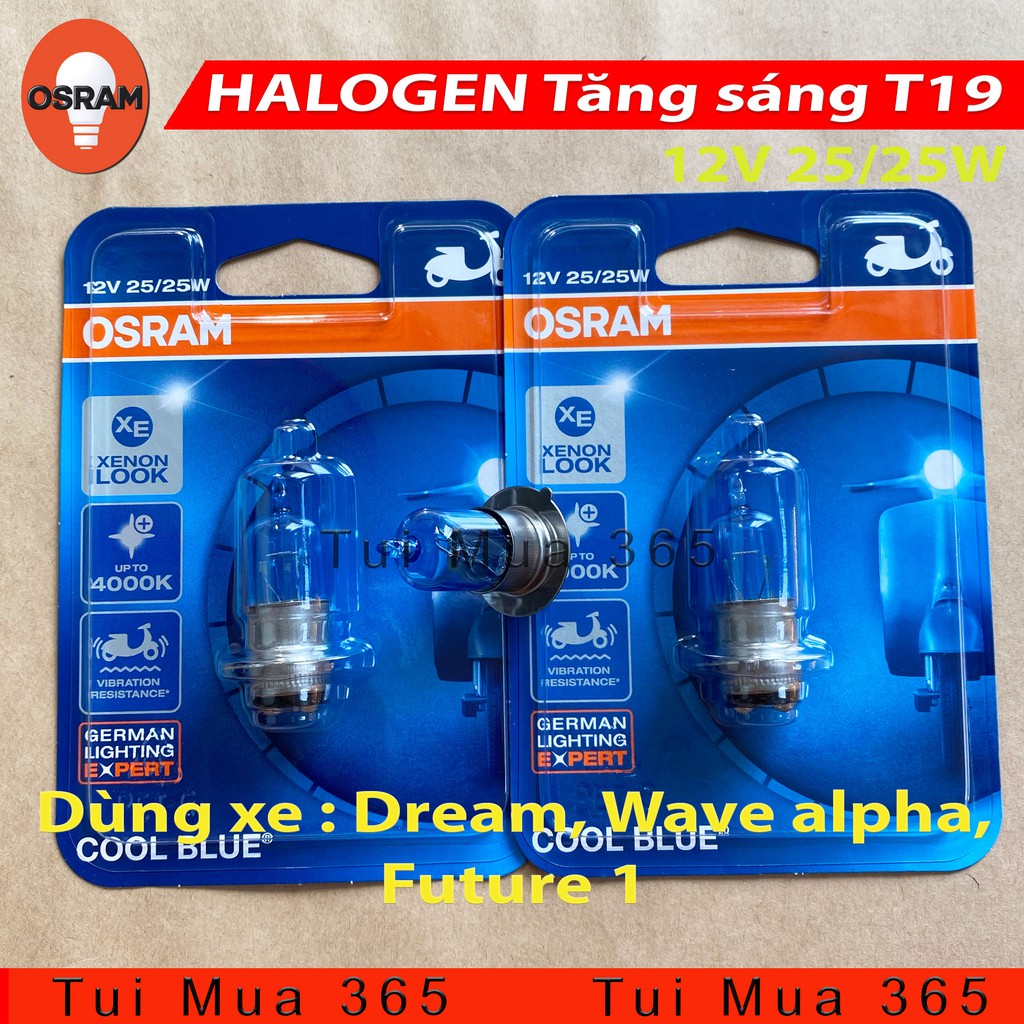 Bóng đèn T19 tăng sáng HALOGEN OSRAM M5 Dream, Wave alpha, Future 1 - 100% Hàng chính hãng