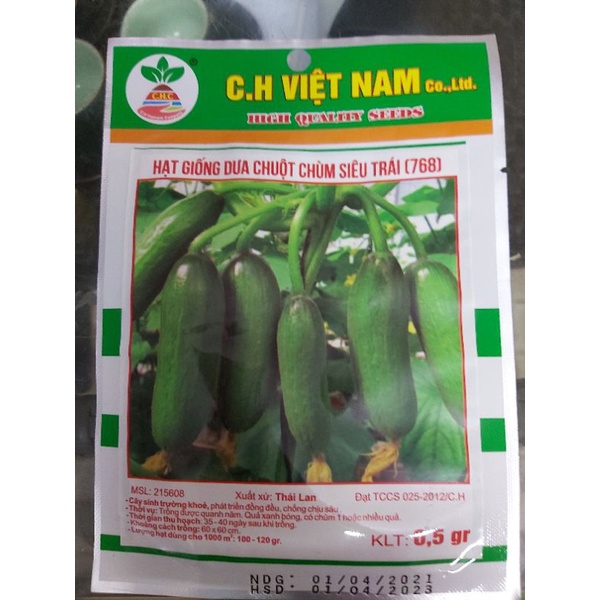 hạt giống dưa chuột trùm siêu trái