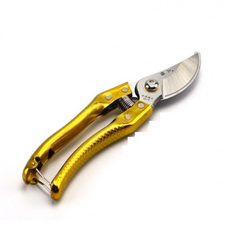 Kéo cắt cành cây cán mạ vàng - 21cm