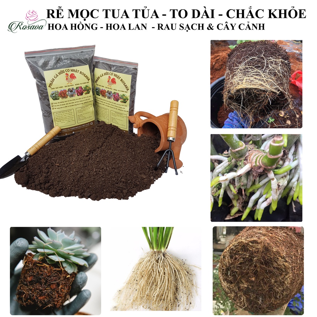 Phân gà hữu cơ Nhật ROSAVA, phân bón hoa hồng, sen đá, hoa giấy, cây cảnh, lan, rau sạch