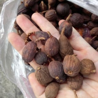 Thảo quả khô-100g