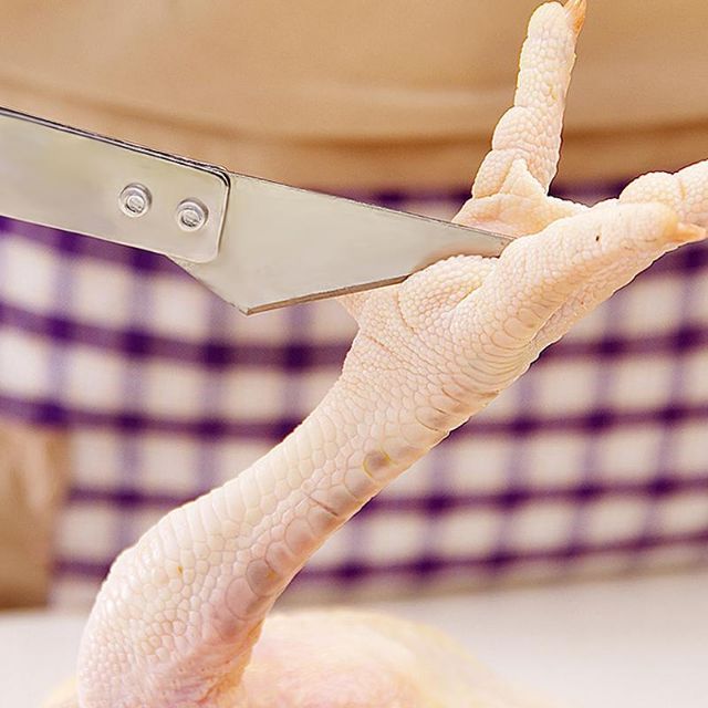 Nhíp nhổ lông gà lông vịt