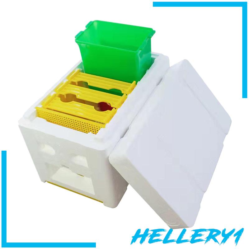 Hộp Nuôi Ong Chúa Breeding Queen Bee 1