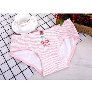 Combo 6 quần lót chất cotton QL5