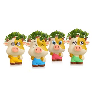 Chậu hoa mini để bàn hình heo