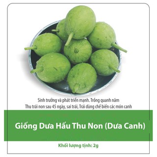 2g Hạt giống Dưa Hấu ăn non 