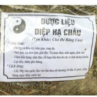 Diệp hạ châu khô( chó đẻ răng cưa) 1kg.
