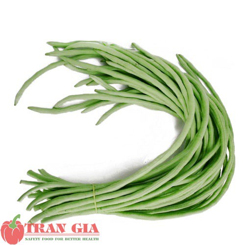 Hạt giống cây đậu đỗ  đũa cao sản phú nông 100g (rau)