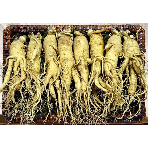Hương liệu thực phẩm hương Nhân Sâm ( Ginseng ) 100ml dạng lỏng