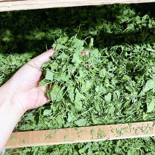 1 hộp bột cần tây sấy lạnh
