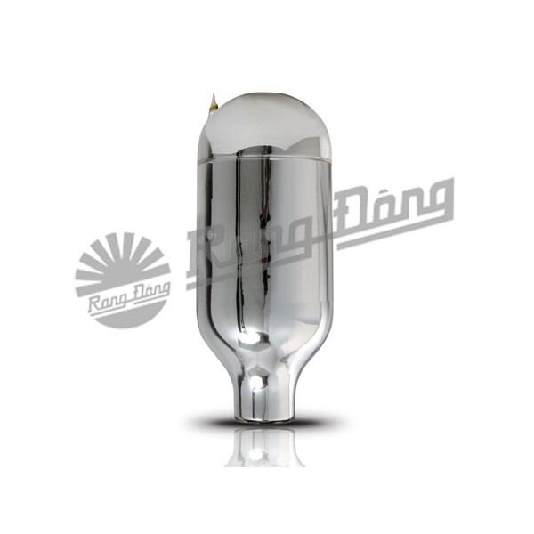 Phích nước Rạng Đông , ruột phích 2 lít