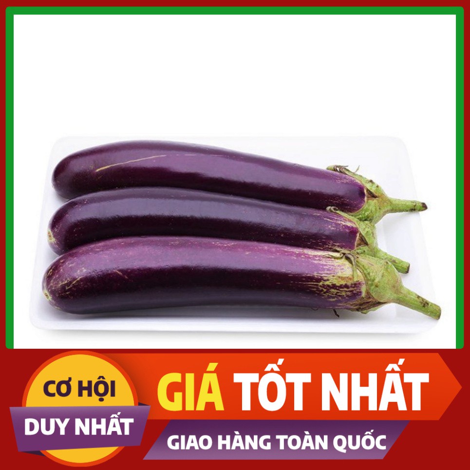 Hạt giống Cà Tím Quả Dài