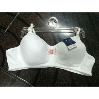 COMBO 5 cái áo lót con gấu cho học sinh cấp 2