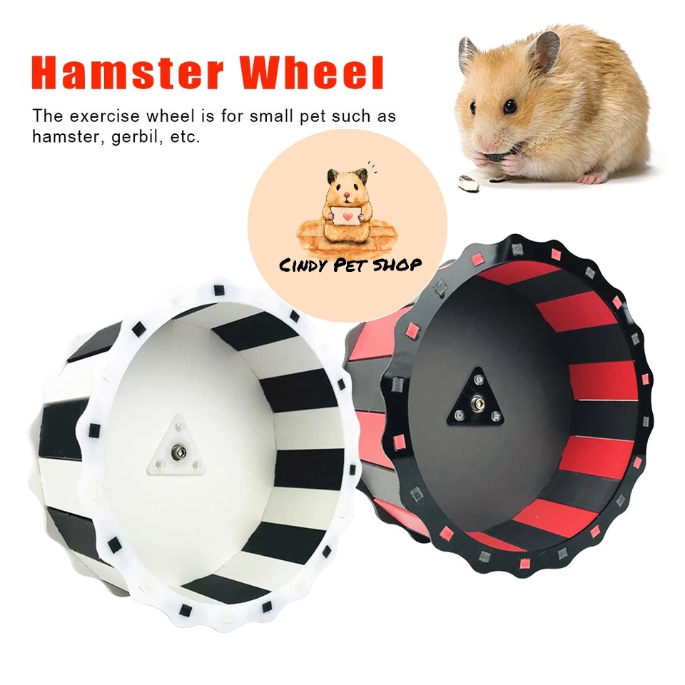 Wheel/Vòng quay chạy gỗ màu 19cm cho Hamster