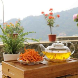 Đông trùng hạ thảo Hector