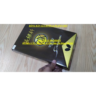 Cốt vợt Zhang Jike Super ZLC - bb4