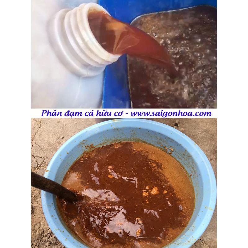 Phân Đạm Cá Hữu Cơ Cho Cây Trồng
