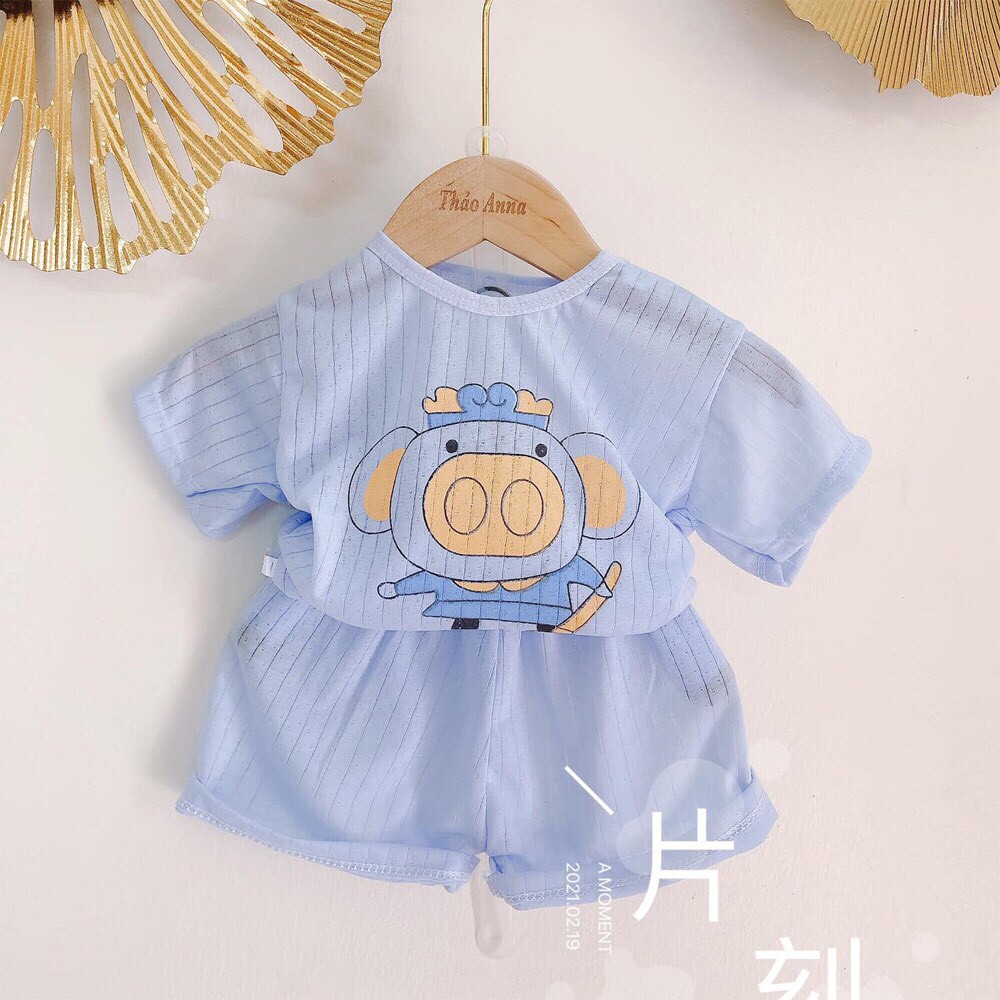 Bộ cotton giấy cộc tay, ngắn tay màu cho bé trai, bé gái, hàng loại 1, size 3-15kg ( Hình Ngẫu Nhiên)