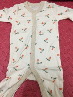 Body dài liền tất
