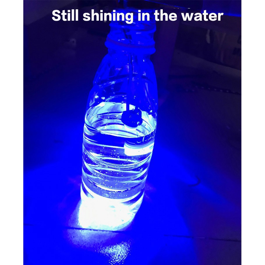 Bóng đèn sứ T10 W5W dành cho làm đèn biển số đèn cửa trong xe