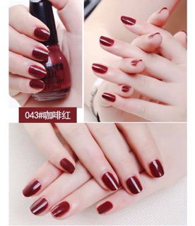 Sơn thường chai 20ml